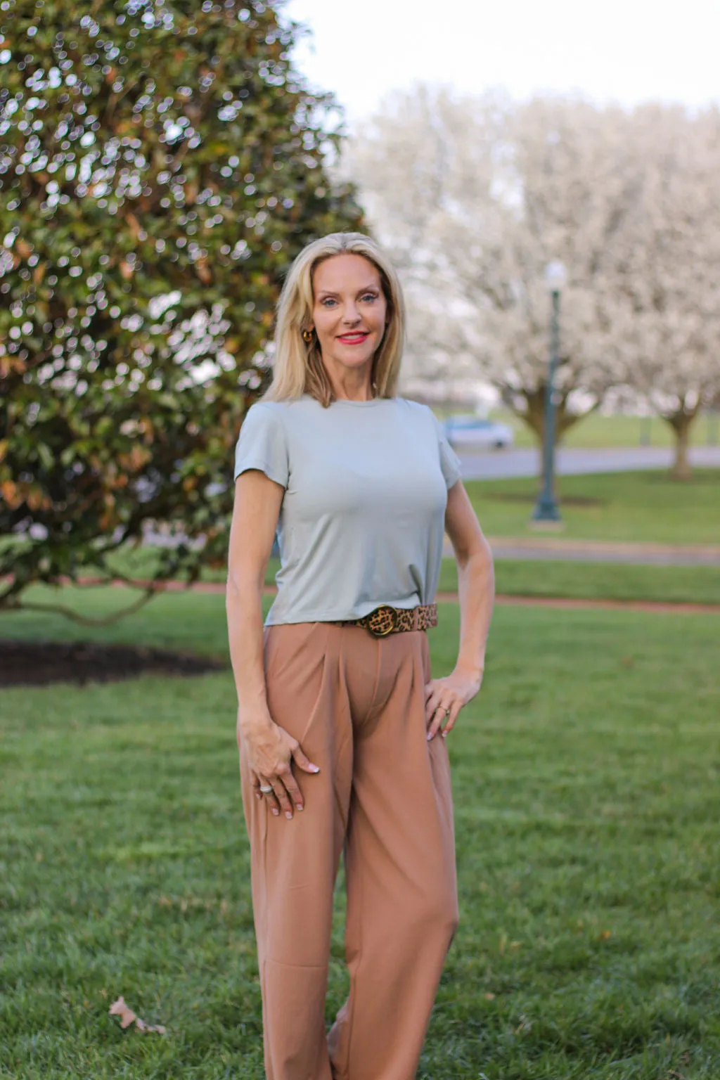 Taupe Dress Pants